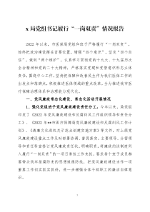 2022年度履行一岗双责情况报告三篇
