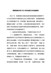 某某税务分局2022年党支部工作总结报告