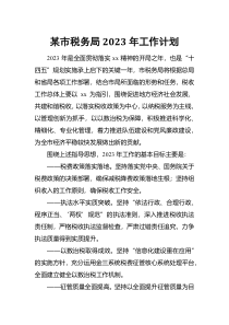 某市税务局2023年工作计划