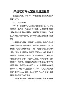 某县政府办公室主任述法报告