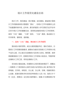 统计工作规范化建设总结