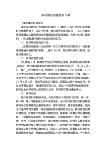 实习情况自查报告5篇