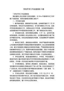 学校开学工作自查报告5篇