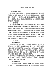 课程改革自查报告5篇