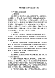 村环境整治工作自查报告5篇
