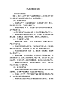 劳动纪律自查报告