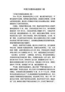 环境卫生整改自查报告5篇