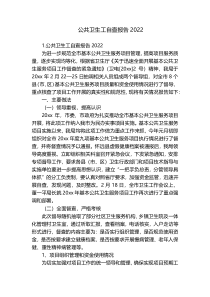 公共卫生工自查报告2022