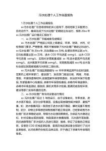 污水处理个人工作自查报告