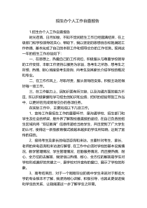 招生办个人工作自查报告
