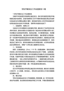 学校开展安全工作自查报告5篇