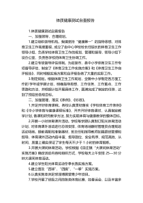 体质健康测试自查报告