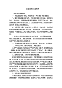 质量自检自查报告