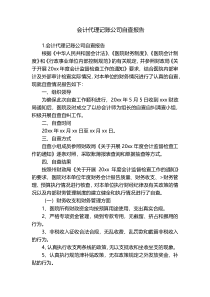 会计代理记账公司自查报告