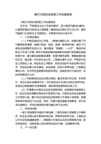 推行行政执法制度工作自查报告