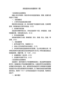 实验室安全自查报告5篇