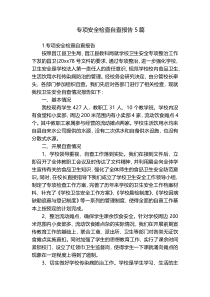 专项安全检查自查报告5篇