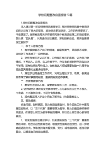 学校问题整改自查报告5篇