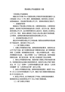 预决算公开自查报告5篇