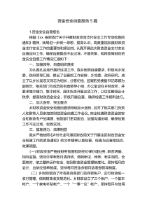 资金安全自查报告5篇