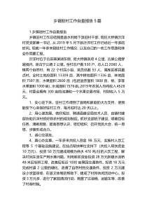 乡镇驻村工作自查报告5篇
