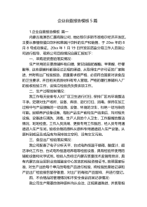 企业自查报告模板5篇