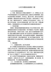 公共卫生整改自查报告5篇