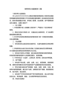 财务审计自查报告5篇
