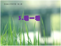 3课看一看一年级上册科学课件青岛版五年制共9张PPT