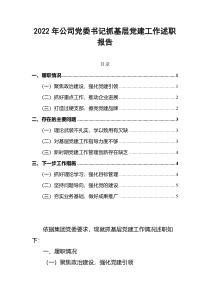 2022年公司党委书记抓基层党建工作述职报告