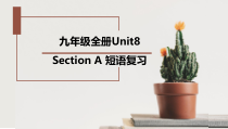 Unit8SectionA短语复习课件2022-2023学年人教版英语九年级全册