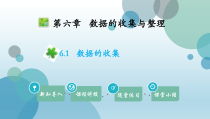 北师大版七年级上册数学课件6.1数据的收集共14张PPT