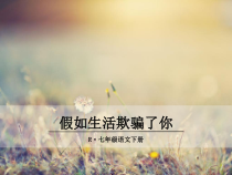 部编版七年级语文下册精品课件假如生活欺骗了你