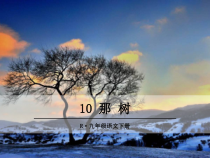 部编版九年级语文下册精品教学课件10.那树
