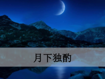 部编版九年级语文下册课外古诗词月下独酌