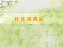 二年级上册美术课外探索C班课件-比比谁美丽全国通用共19张PPT