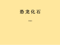 二年级上册美术课外探索C班课件-恐龙化石共15张PPT-全国通用