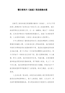 警示教育片迷途观后感集合篇