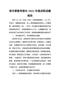 某市委宣传部长2022年度述职述廉报告