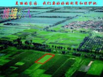 《平行四边形的对边相等、对角相等》PPT课件1-八年级下册数学人教版