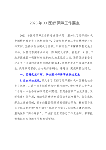 2023年XX医疗保障工作要点