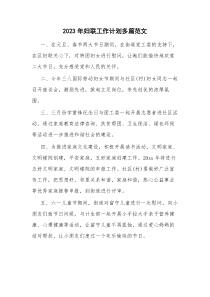 2023年妇联工作计划多篇范文