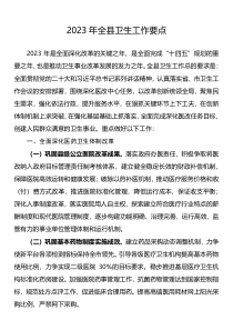 2023年全县卫生工作要点