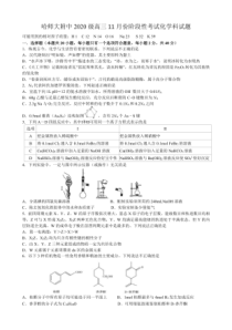 2022-2023学年黑龙江省哈尔滨师范大学附中高三上学期11月阶段性考试化学试题及答案