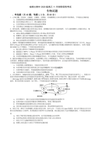 2022-2023学年黑龙江省哈尔滨师范大学附中高三上学期期中考试生物试题及答案