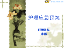 《护理应急预案》PPT课件