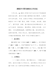2022年XX镇帮扶工作总结