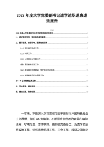 2022年度大学党委副书记述学述职述廉述法报告