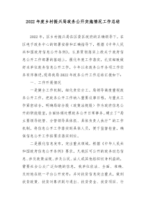 2022年度乡村振兴局政务公开实施情况工作总结