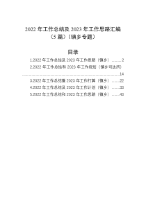 2022年工作总结及2023年工作思路汇编5篇镇乡专题